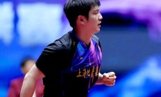 九游娱乐app下载-韩国乒乓球队血洗波兰乒乓球队，樊振东制霸全场的简单介绍