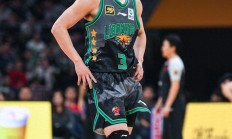 九游体育APP-辽宁飞豹队在比赛中展现最佳状态，成功取胜