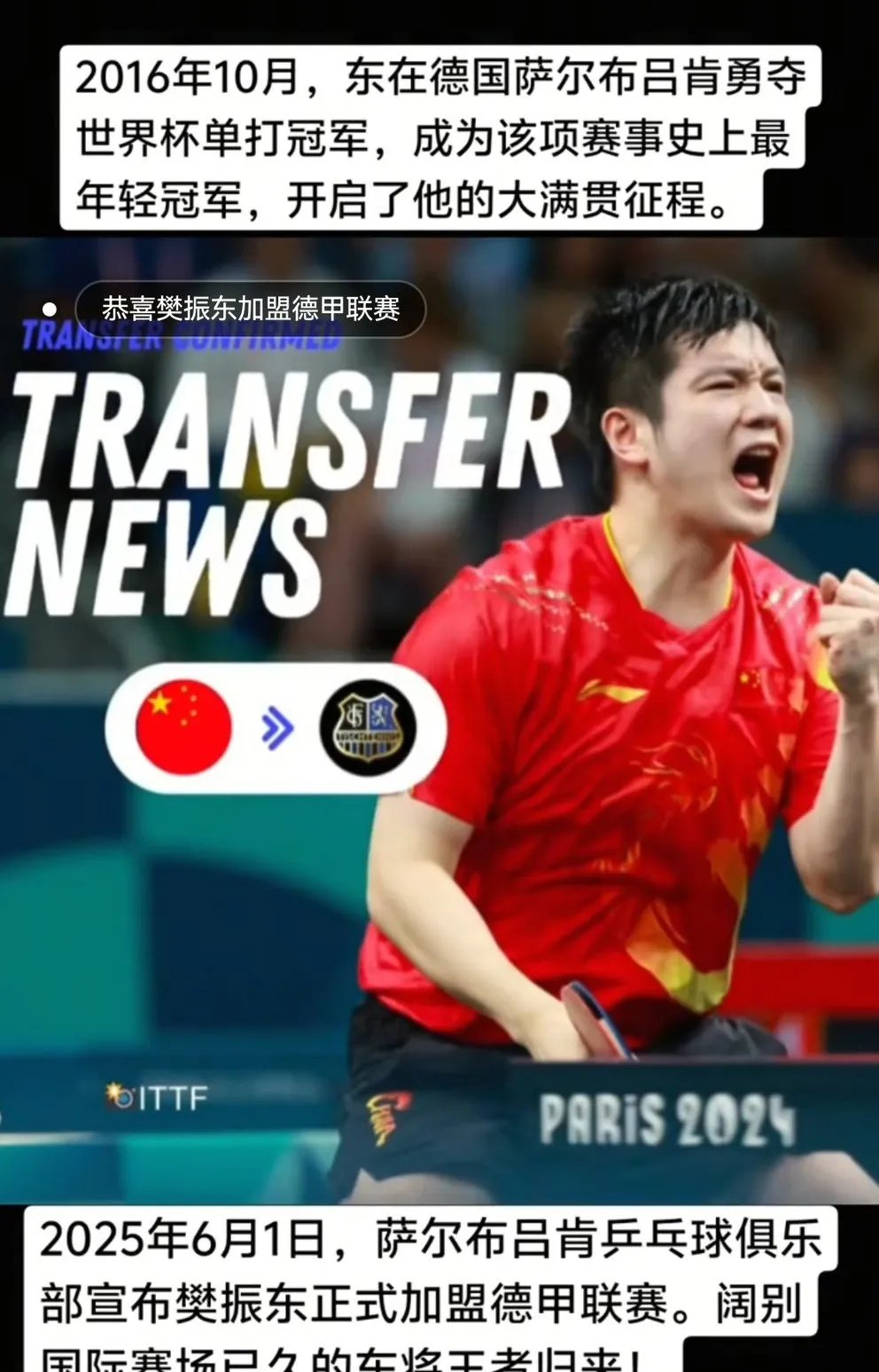 韩国乒乓球队血洗波兰乒乓球队，樊振东制霸全场的简单介绍