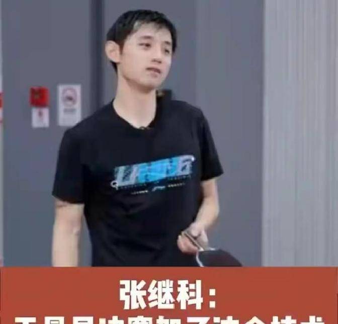 中国乒乓球队逆转瑞典乒乓球队，张继科绝境逆转的简单介绍