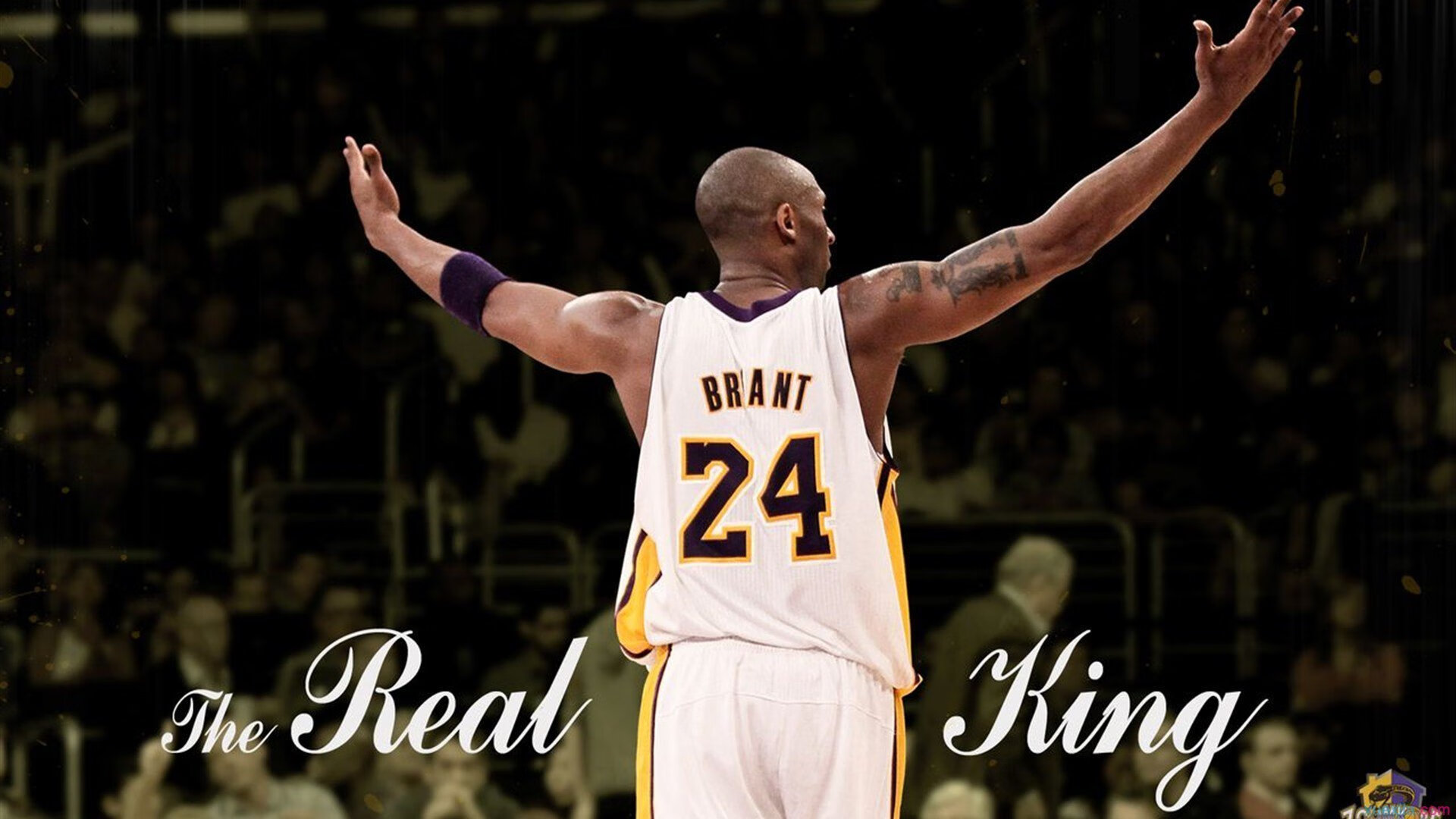 黄蜂强压公牛，贝恩关键战不手软—新星崛起与团队韧性的胜利